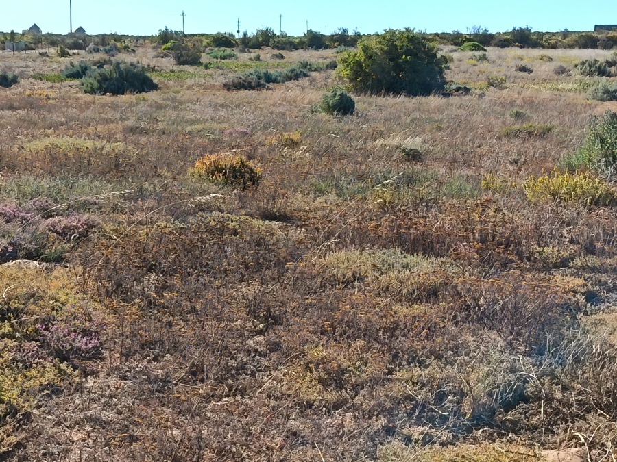 0 Bedroom Property for Sale in Nieuwerust Western Cape